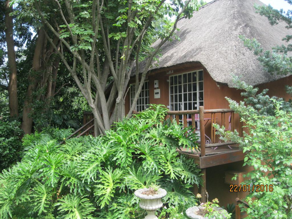 Treetops & Treats Guest House Pretoria-Noord Exterior foto